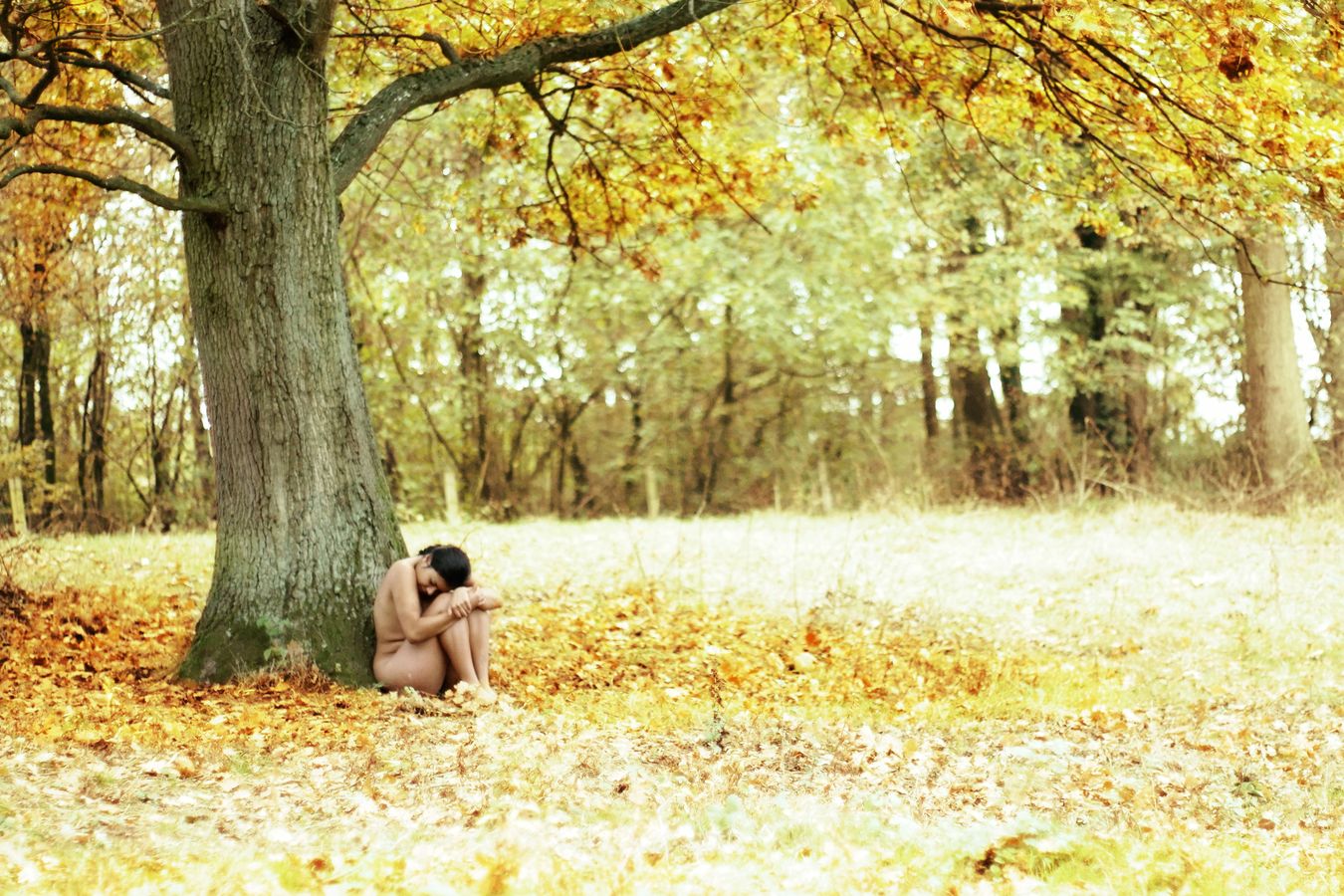 Ana, nue, se repose au pied d'un arbre en automne et la nature vient l'enlacer tendrement et paisiblement. L'arbre est entouré de couleurs flamboyantes.
