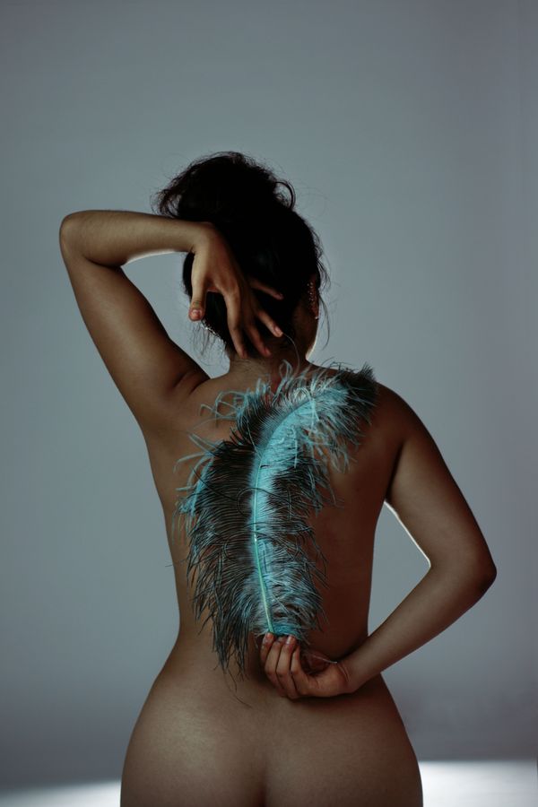 Ana, nue de dos, tient une plume d'autruche bleue devant sa colonne vertébrale, alors que sa main gauche, derrière sa nuque essaye de l'effleurer.